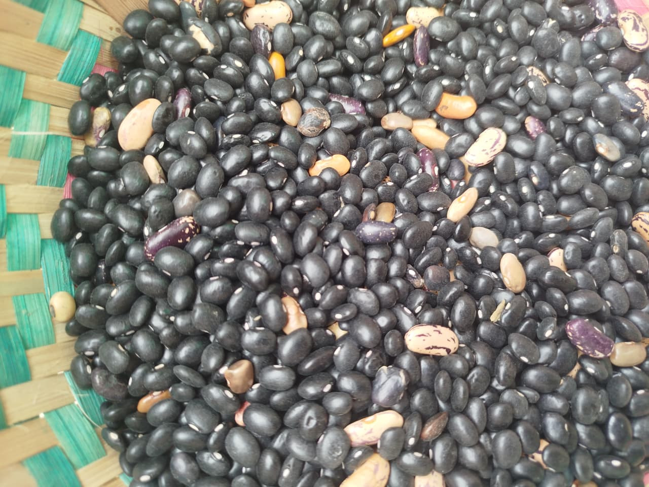 Simi (Humla)