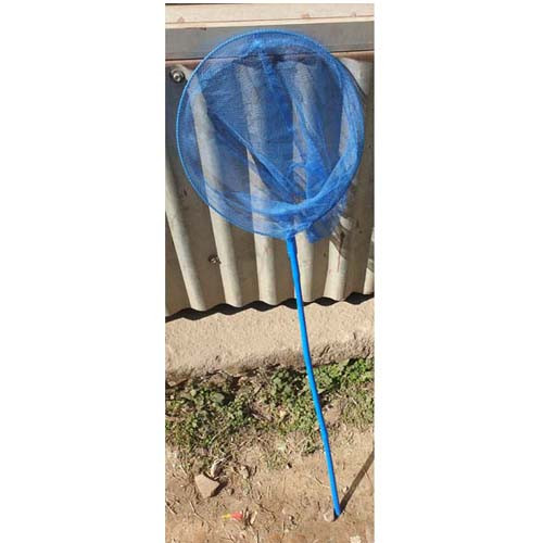 Insects Collecting Net-Normal Handle